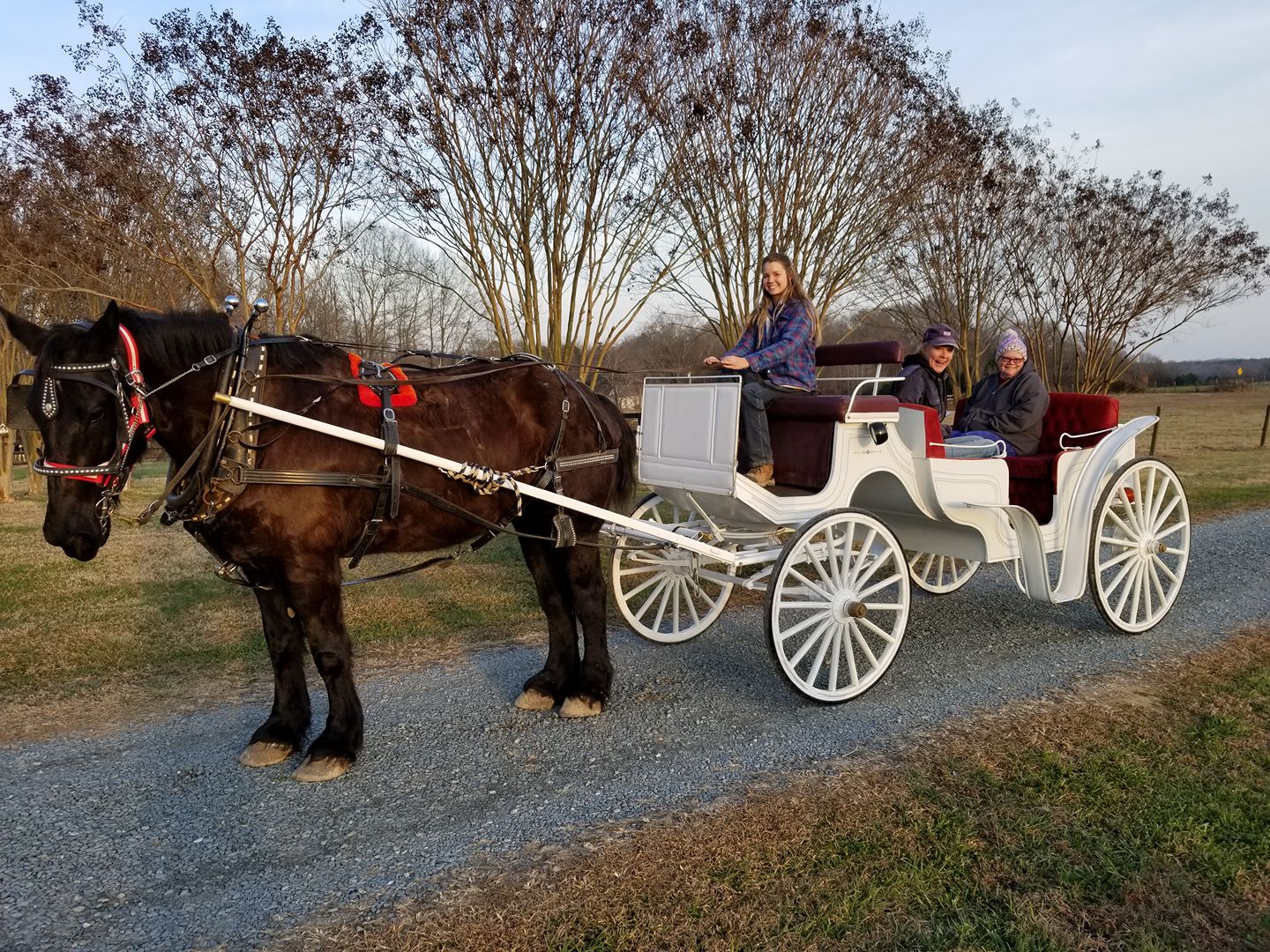 Horse-Drawn Carriage Rides | Romantic Carriage Ride ...